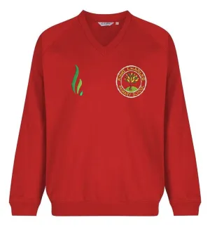 KING CHARLES PRIMARY V NECK SWEATSHIRT
