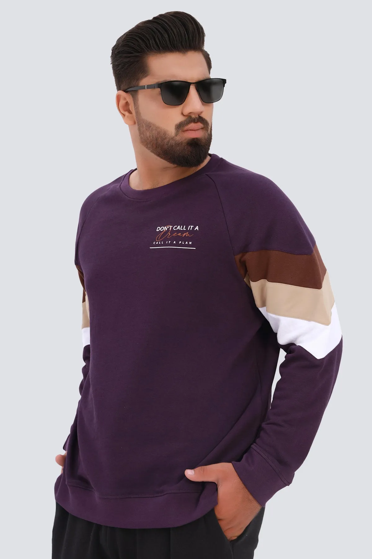 Purple Cordial Paneled Sweatshirt (Plus Size) - W22 - MSW073P