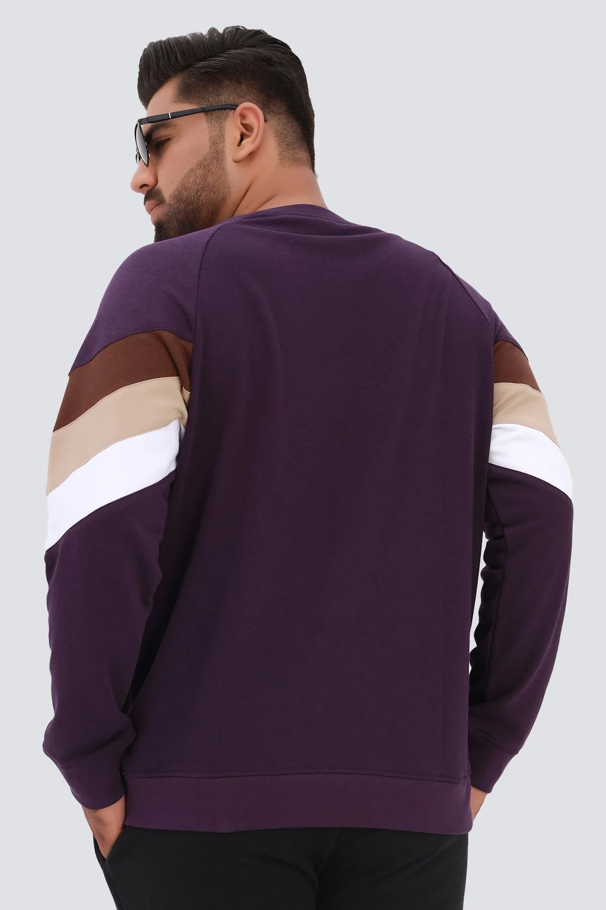 Purple Cordial Paneled Sweatshirt (Plus Size) - W22 - MSW073P