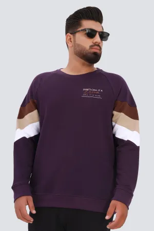 Purple Cordial Paneled Sweatshirt (Plus Size) - W22 - MSW073P