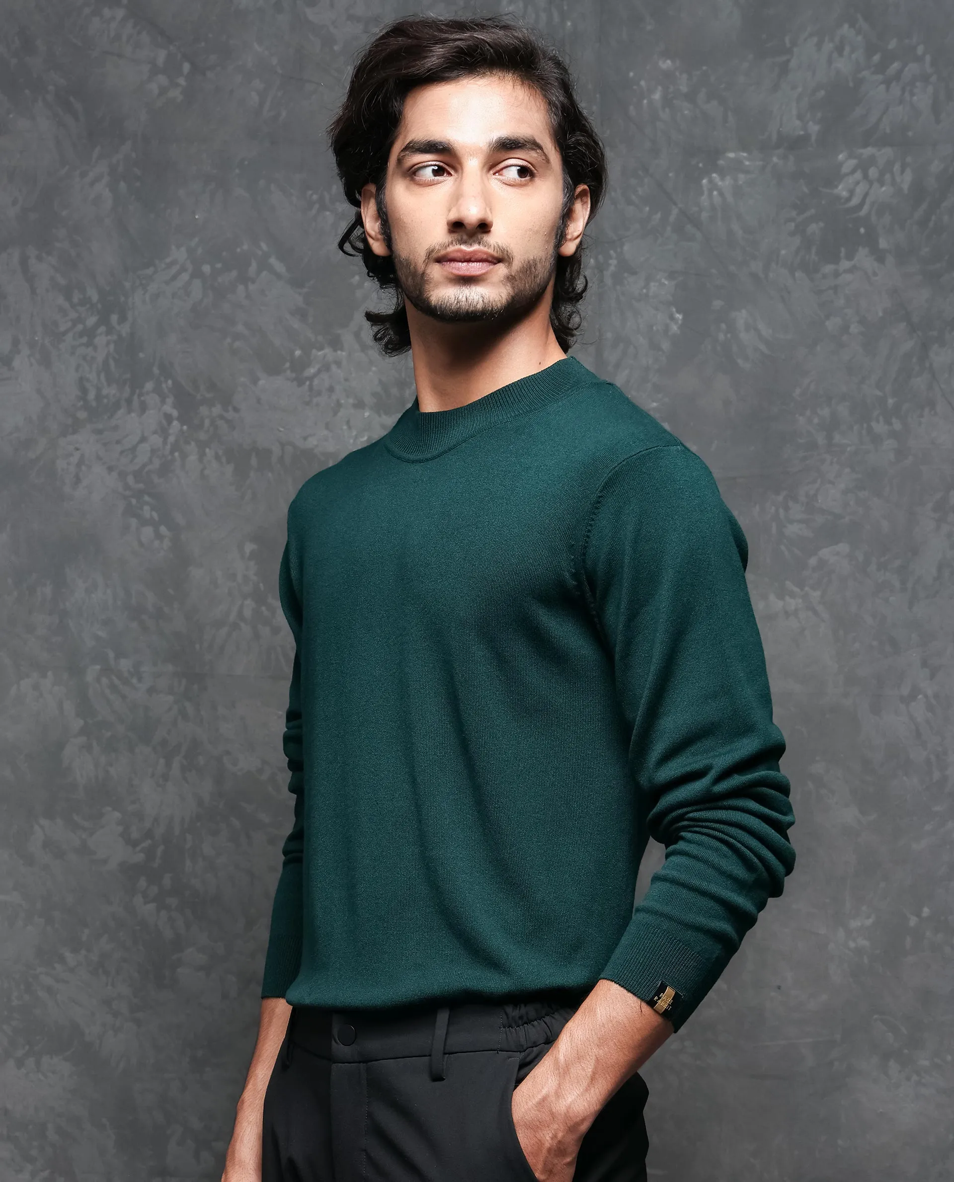 Rare Rabbit Mens Alfo 1 Green Sweater Viscose Nylon Fabric High Neck Knitted Full Sleeves Fitted