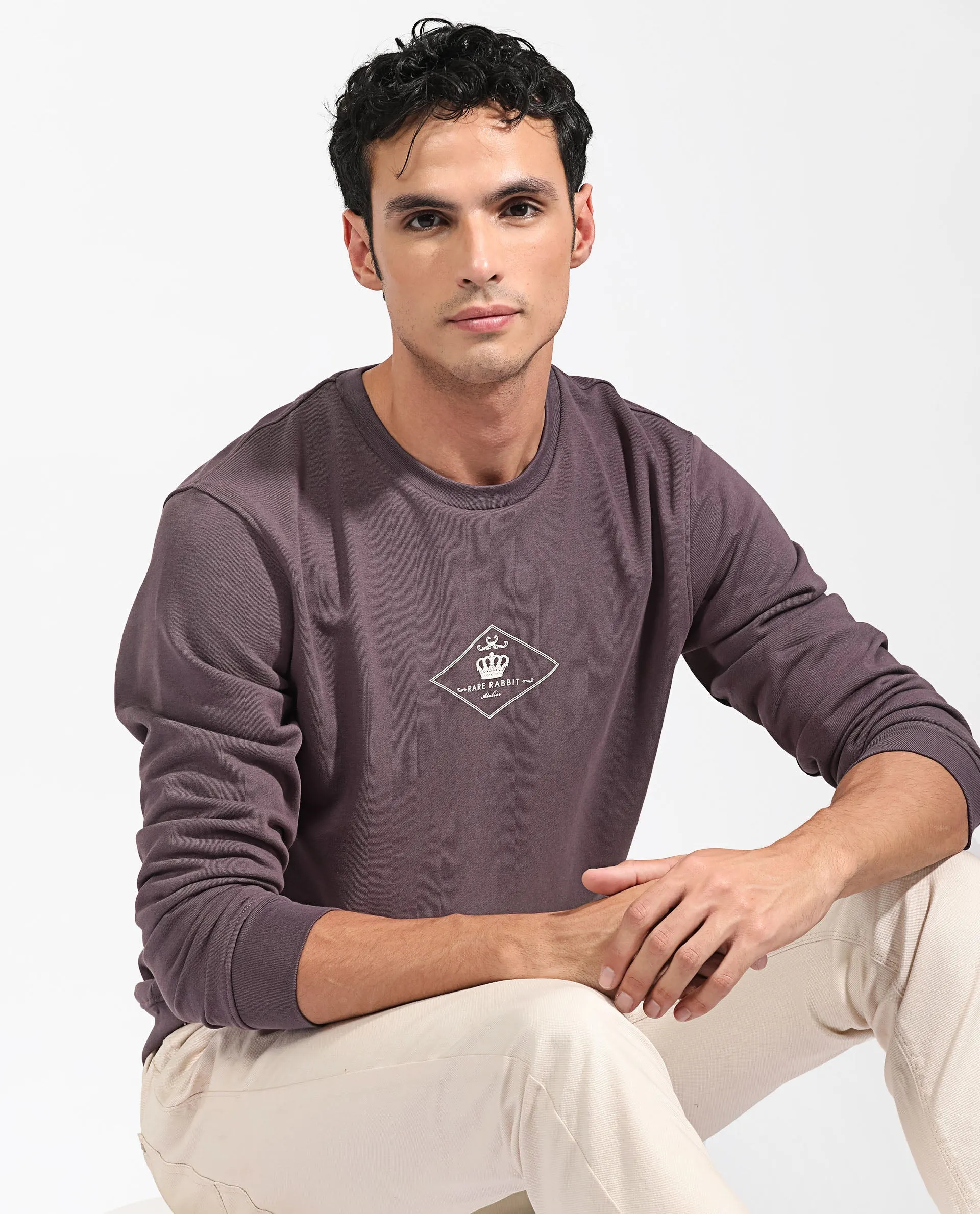 Rare Rabbit Men's Devonn Purple Cotton Polyester Fabric Full Sleeves Logo Graphic Print Knitted Sweatshirt