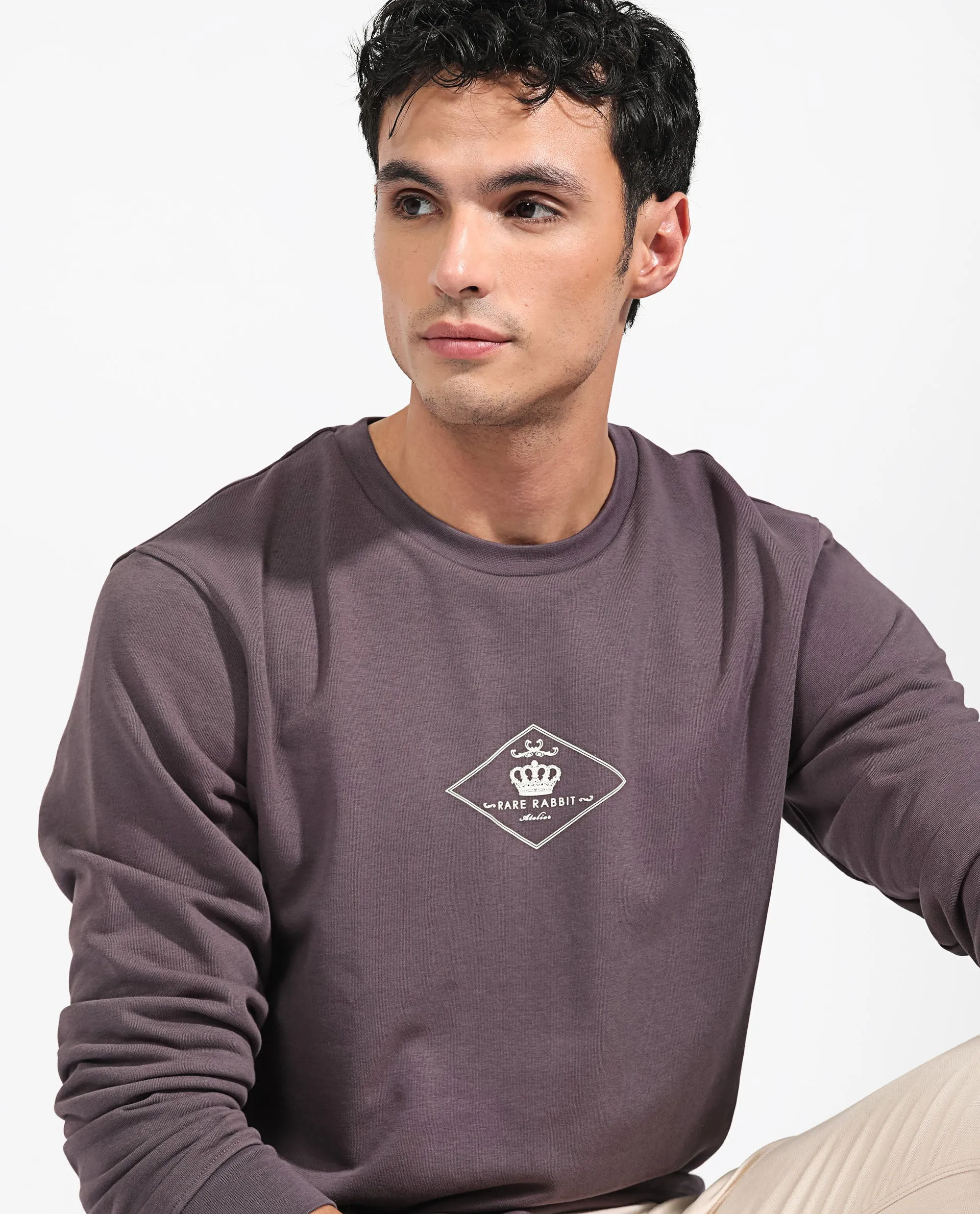 Rare Rabbit Men's Devonn Purple Cotton Polyester Fabric Full Sleeves Logo Graphic Print Knitted Sweatshirt