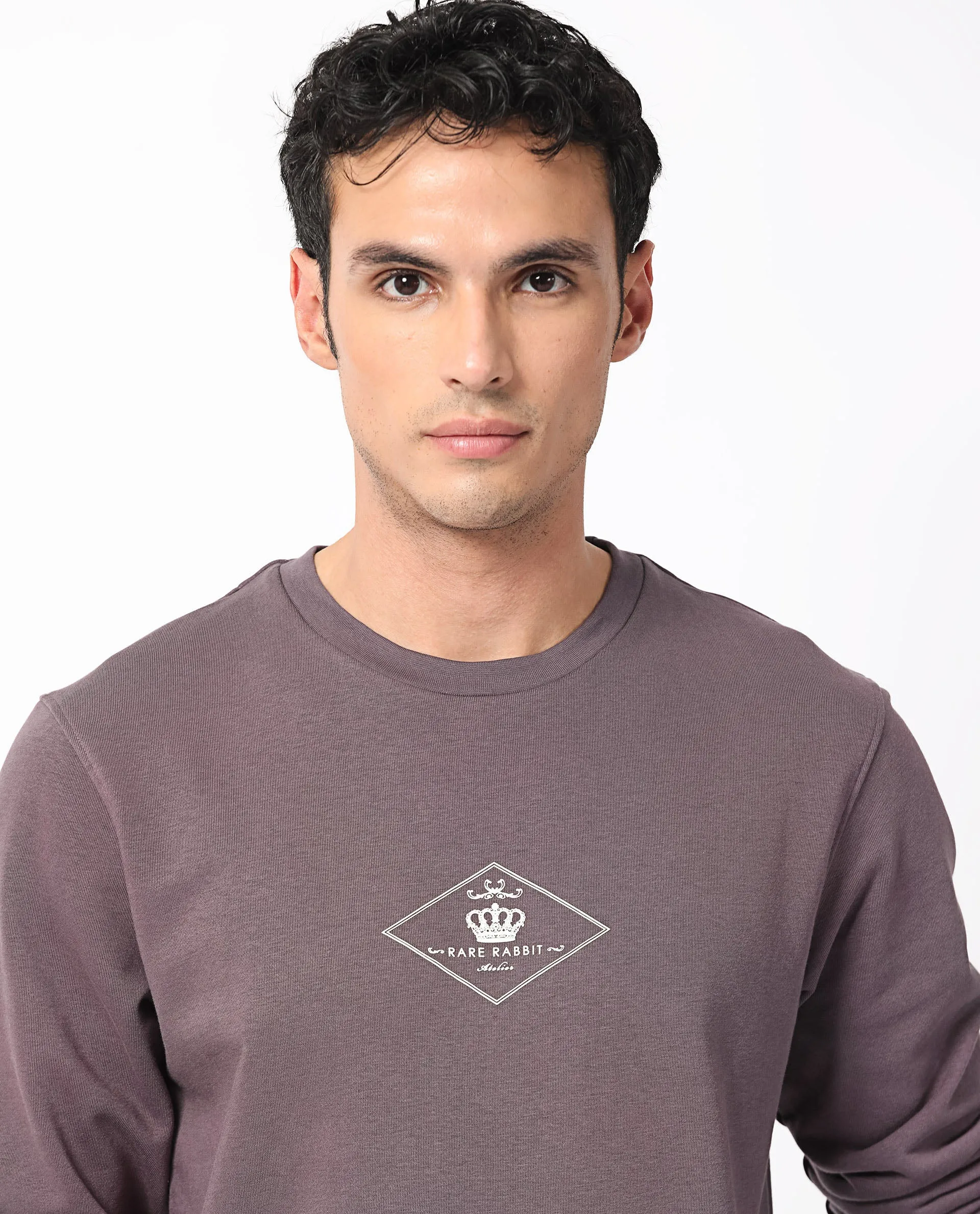 Rare Rabbit Men's Devonn Purple Cotton Polyester Fabric Full Sleeves Logo Graphic Print Knitted Sweatshirt