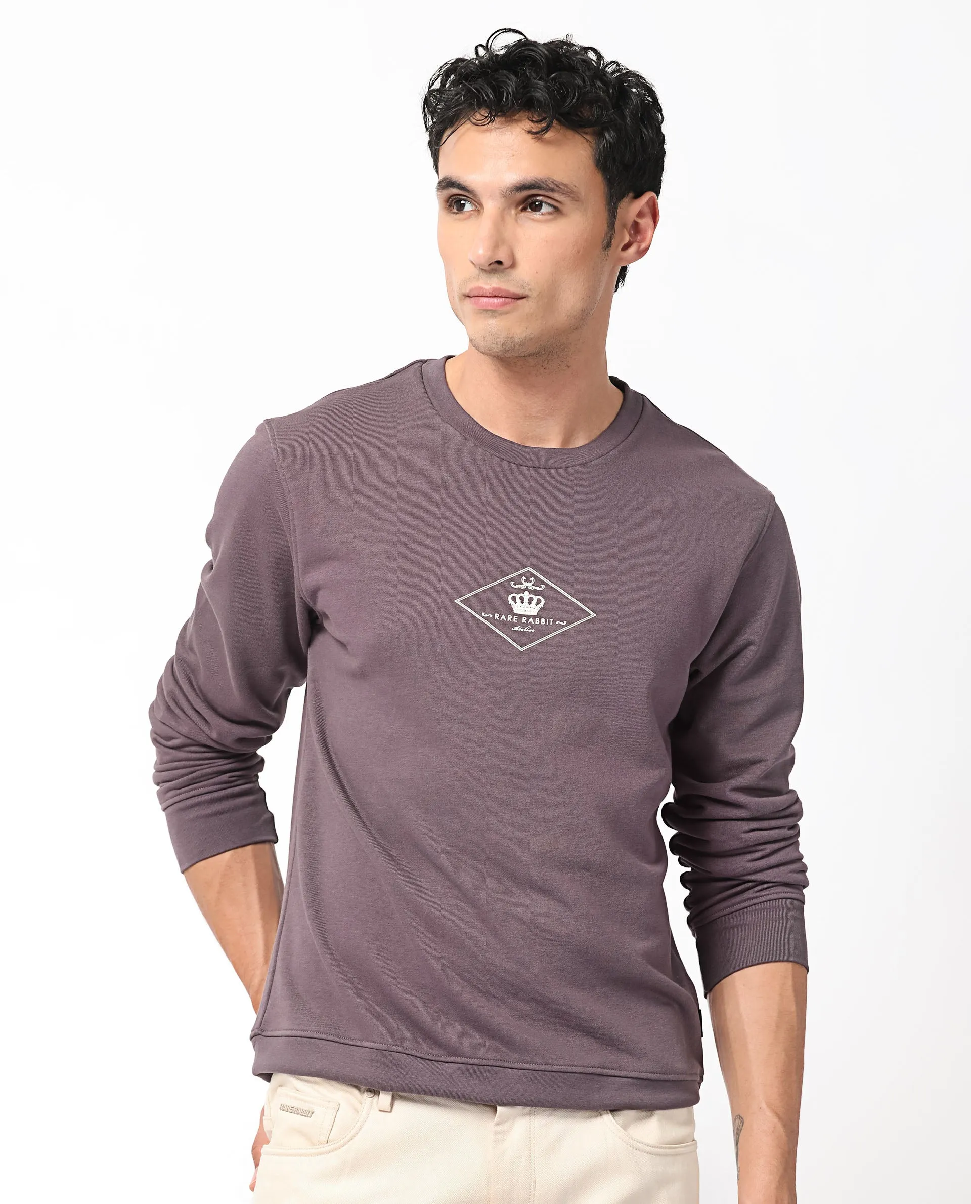 Rare Rabbit Men's Devonn Purple Cotton Polyester Fabric Full Sleeves Logo Graphic Print Knitted Sweatshirt