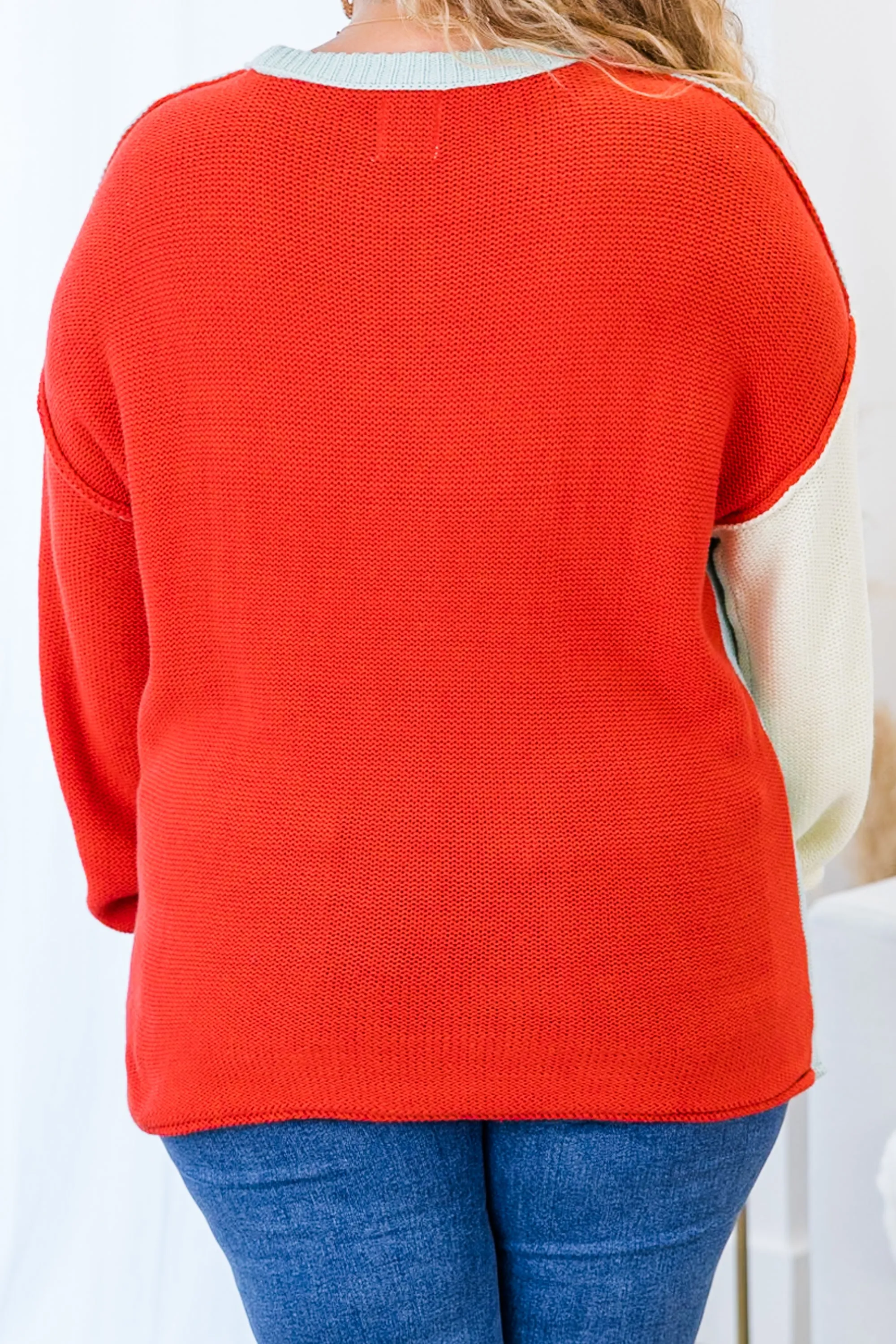 Snowy Owl Sweater, Blue-Rust