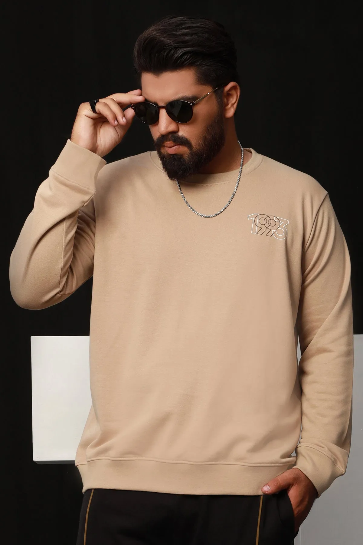 Taupe 1993 Back Printed Sweatshirt (Plus Size) - W22 - MSW038P